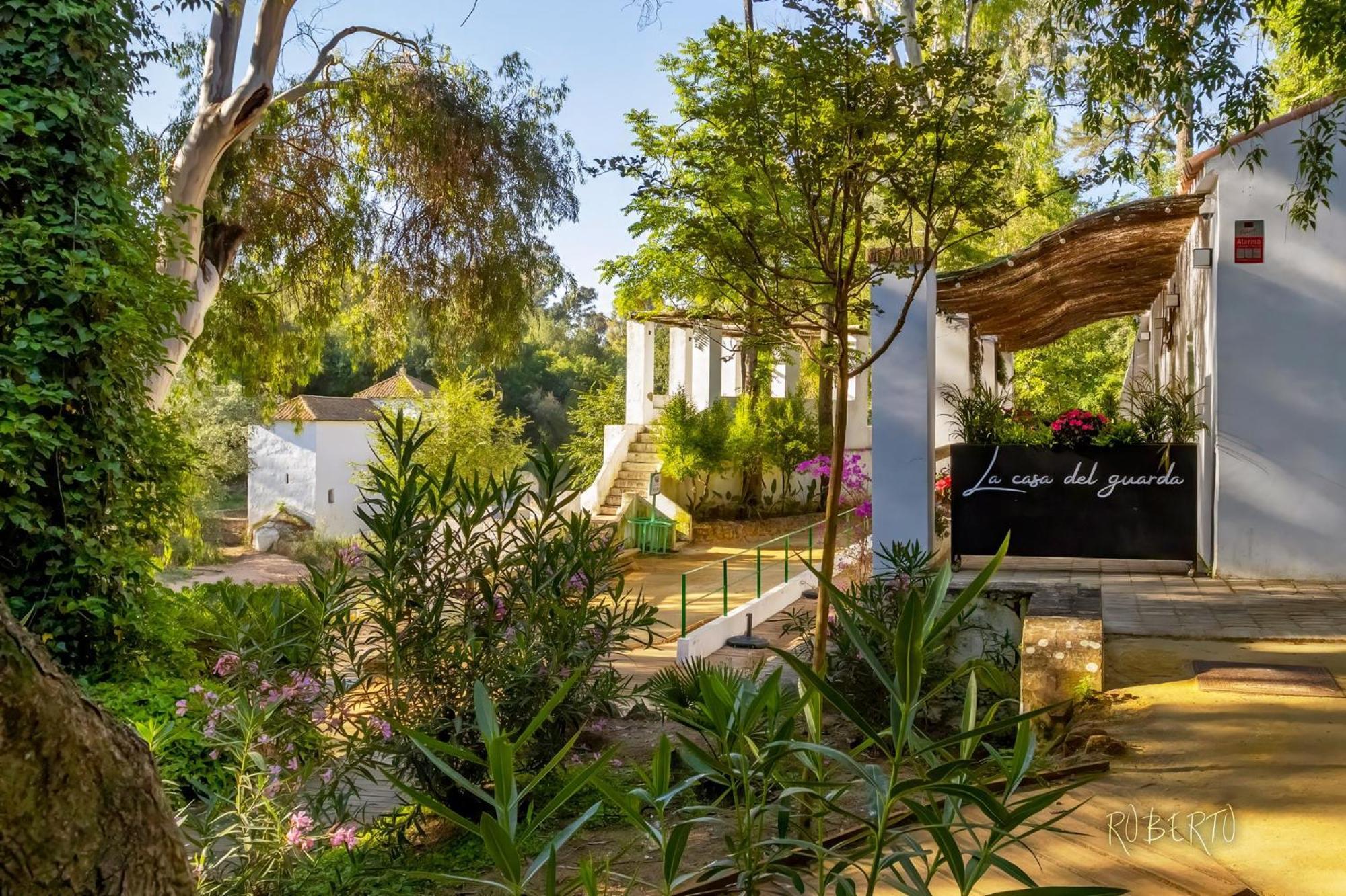 Alcalá de Guadaira Apartamento Nuevo Centrico Con Aparcamiento Privado Incluido מראה חיצוני תמונה
